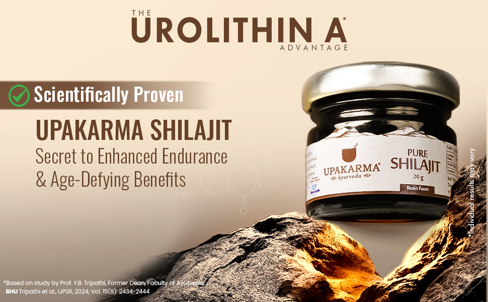 Large manufacture image 6