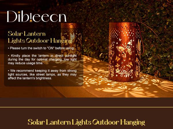 Amazon.com: Butterfly Solar Lanterns Outdoor Hanging