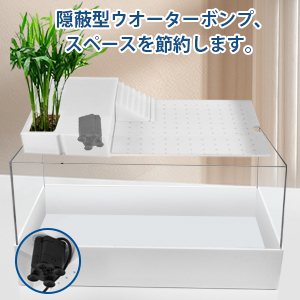 Amazon | Giznzg 亀 水槽 40*27*20cm カメ用水槽 飼育ケース