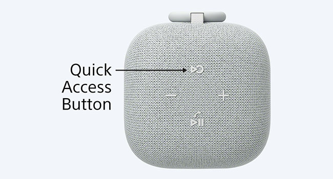 SONY LinkBuds Speaker グレー Sony Wireless Portable Speaker LinkBuds Speaker Product