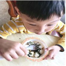 Sushi Shake Rice Ball Mold