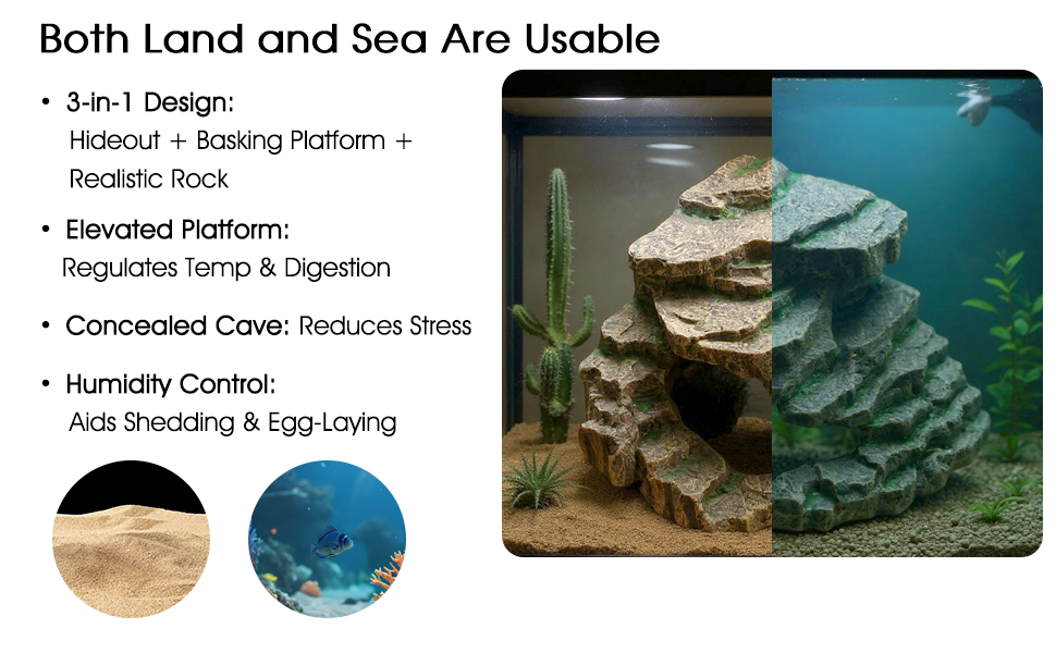 Bearded Dragon Basking Rock