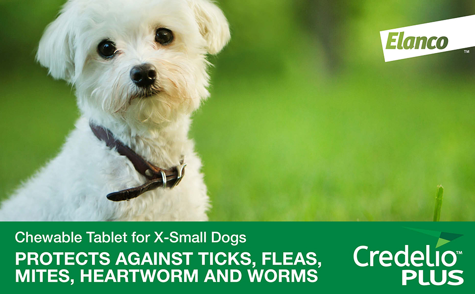 Credelio PLUS Dog Flea and Tick Treatment, Single Pack, Ticks, Fleas