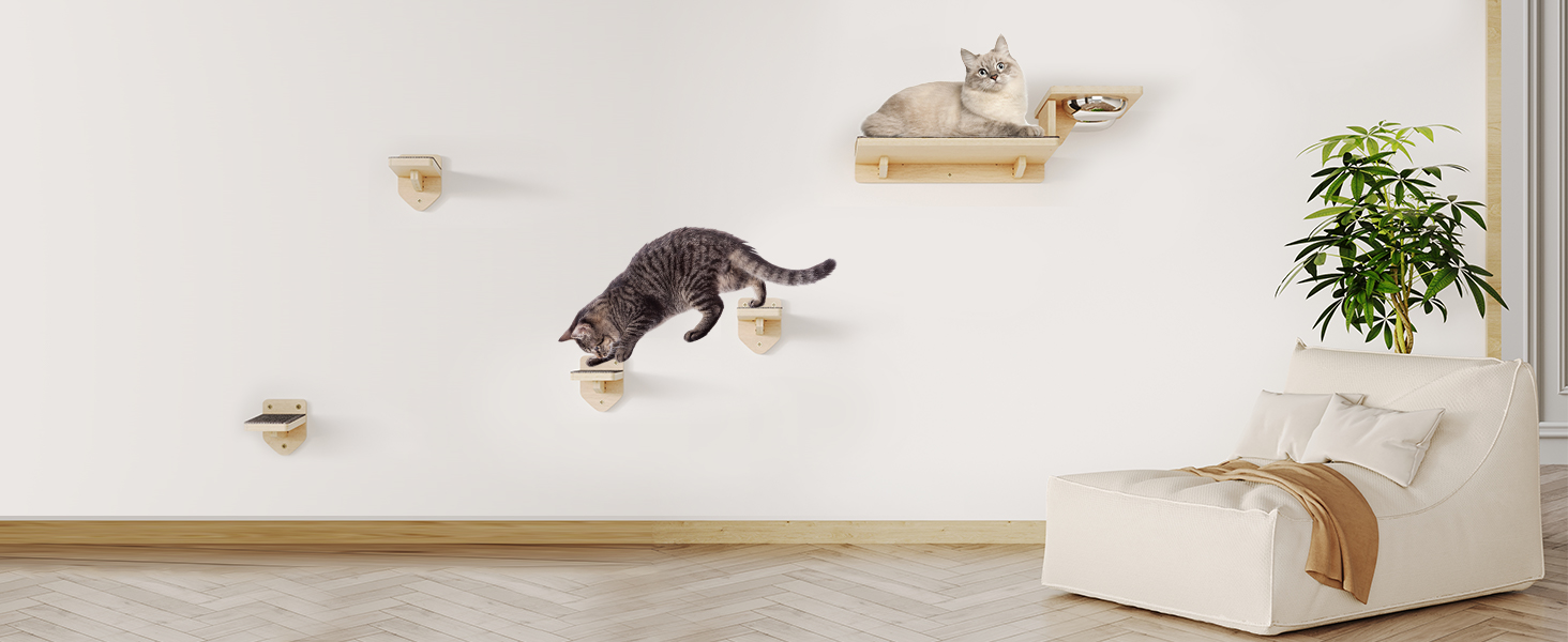 Cat Wall Shelves