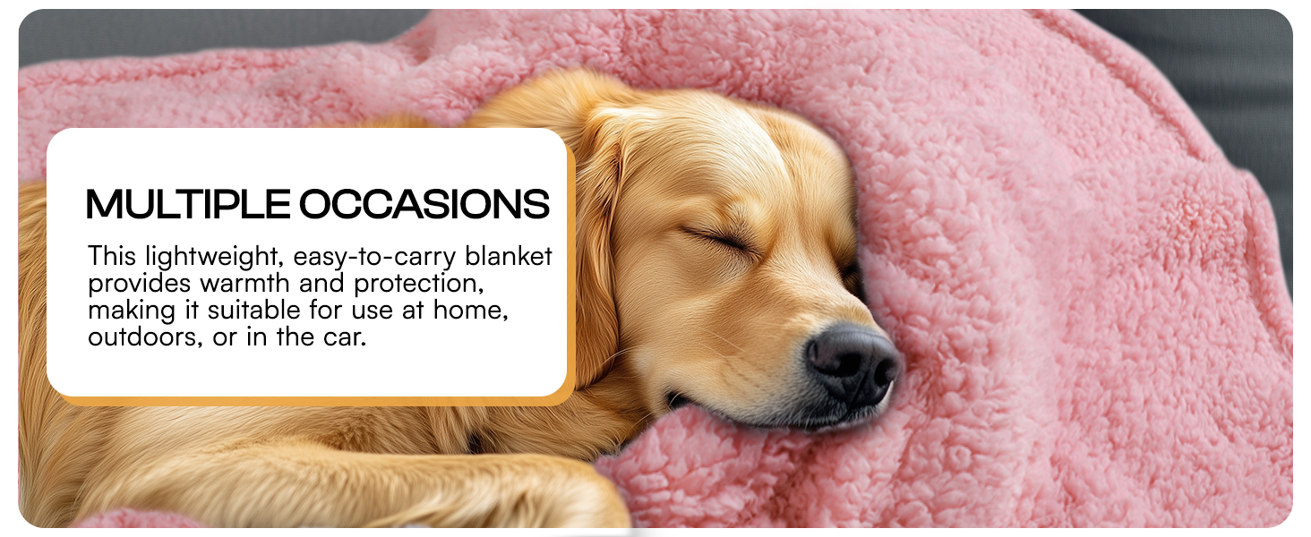 blanket for dog washable
