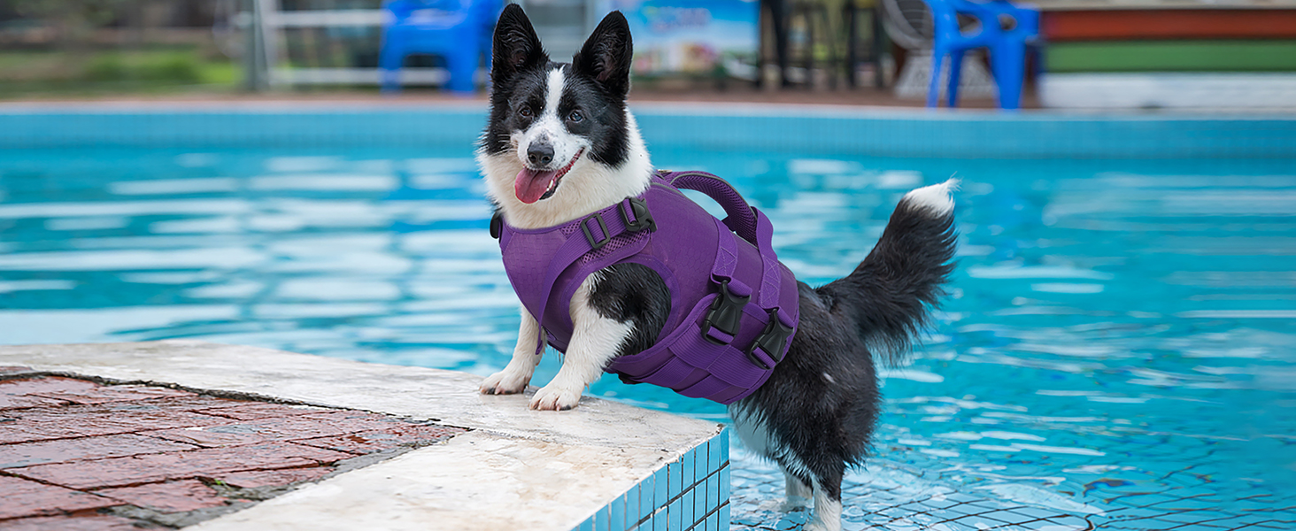 Dog Life Jacket