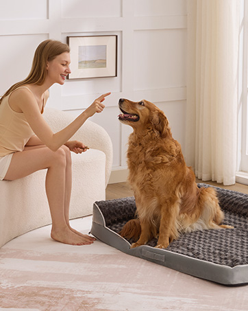 Dog Bed Large Sized Dogs