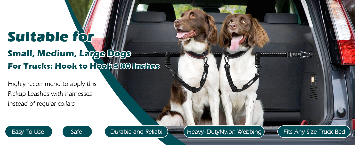dog leash for bed of truck