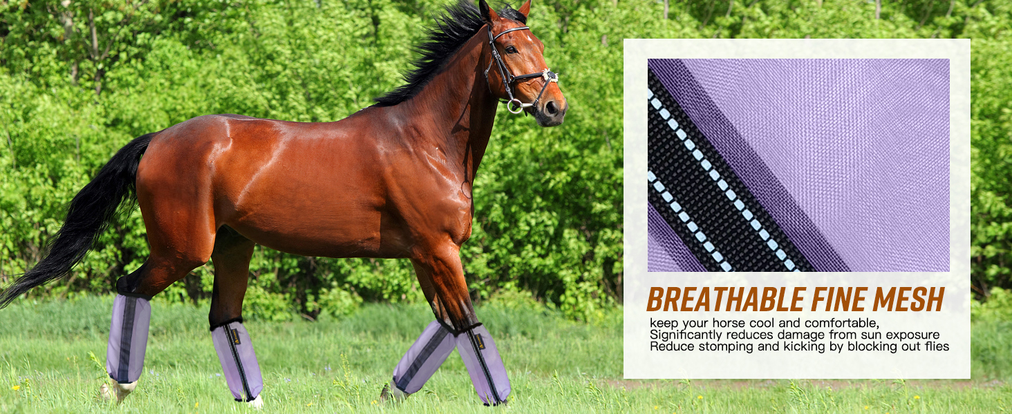 fly boots for horse