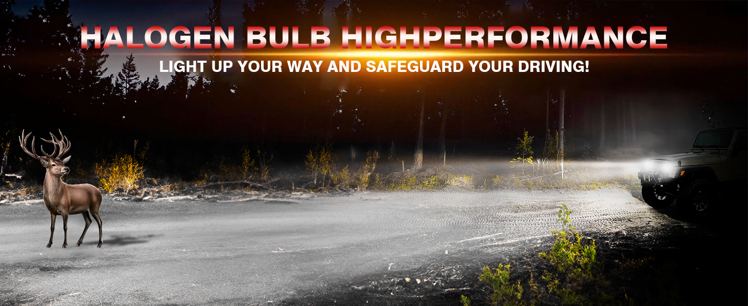 HMCYCI Halogen Headlight Bulbs for Chevy Avalanche 2007