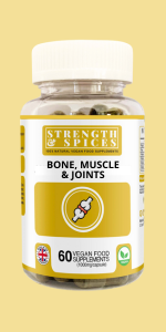 Bone Muscle Joints