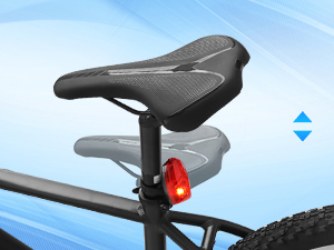 ebikes