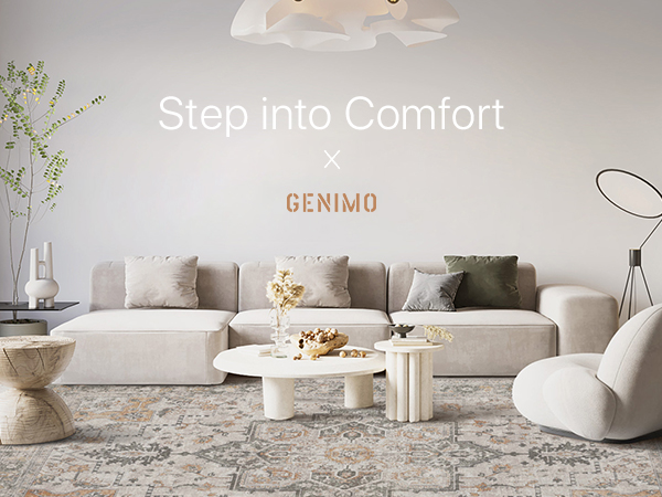 Amazon.com: GENIMO 2x7 Area Rugs for Living Room, Machine