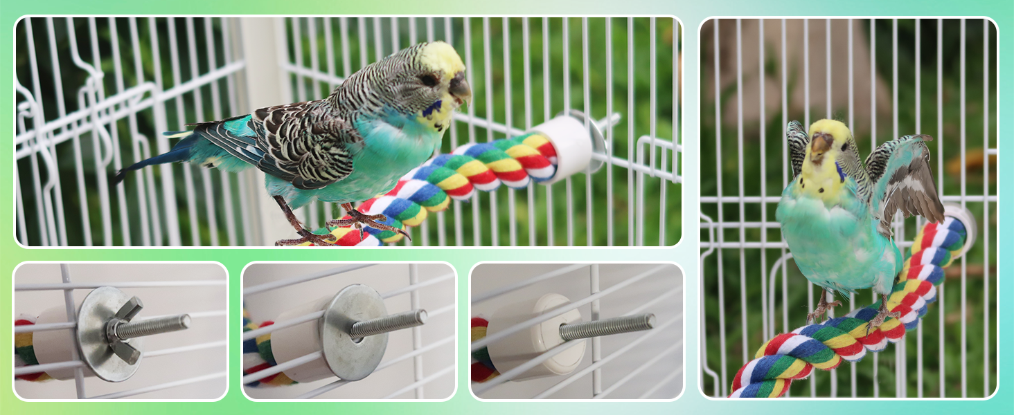 bird rope perch install