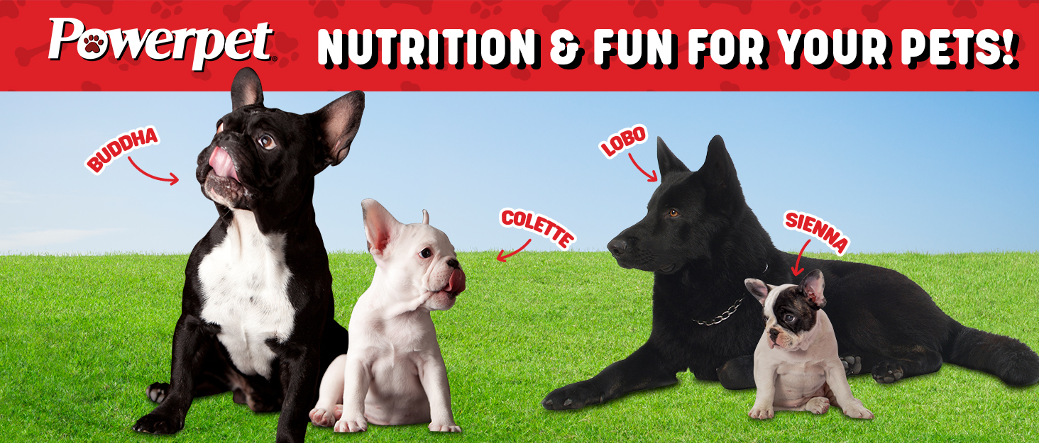 powerpet power pet bullies bones dog aggressive chewers small medium puppies bullysticks ingredient