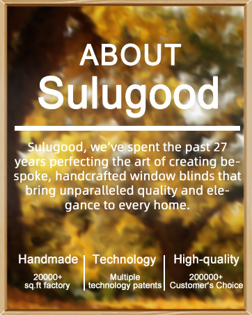 shades for indoor windows window shades for home sheer window blinds for window light filtering