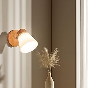 kaja壁付けライト Amazon.co.jp : KY LEE ウォールライト 壁掛けランプ 照明器具