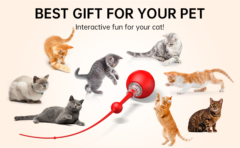 BEST GIFT FOR YOUR PET
