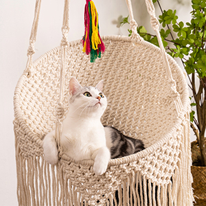 cat hammock