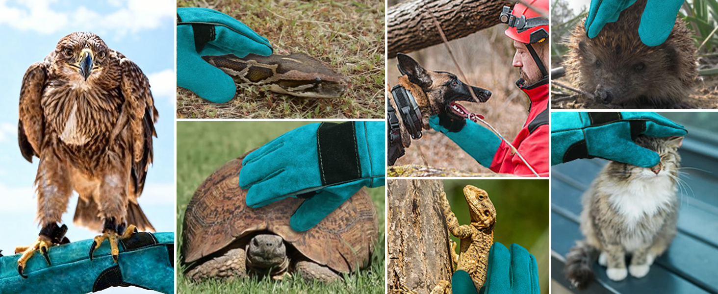 Large manufacture image 4