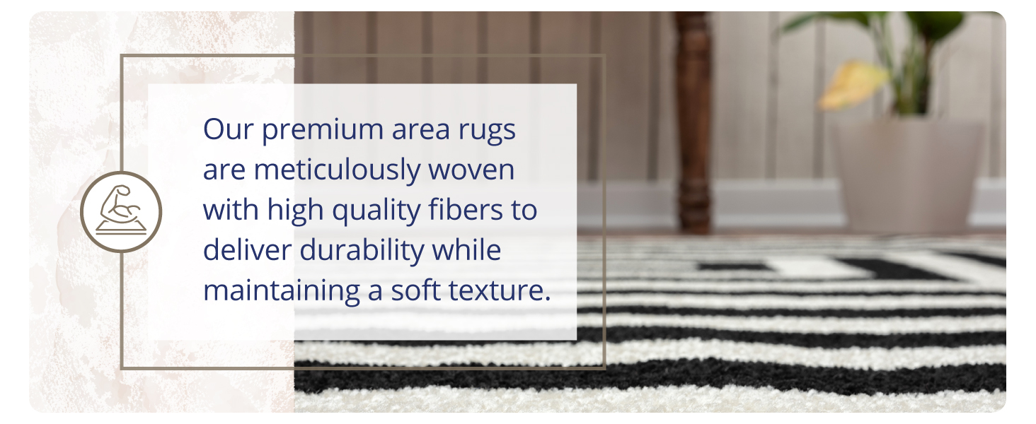 Abani Rugs Area rug. Modern area rug. Kid and pet friendly. Black and Ivory rug. Easy to clean