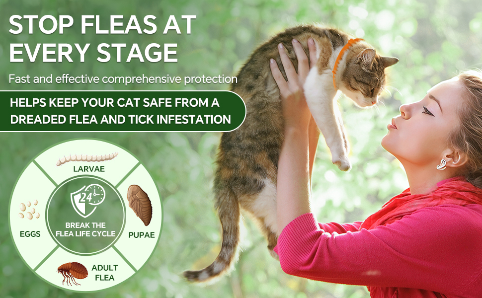 Woyamay 4 Pack Flea Collar for Cats, Safe & Natural Flea