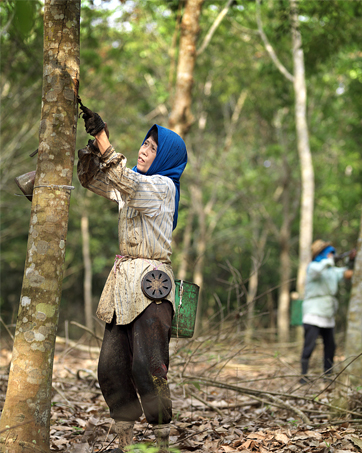 Pneu Plein Trotinette Electrique 8.5 Pouces