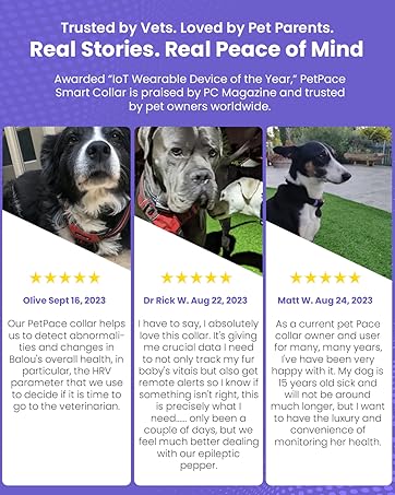 near real-time data for proactive pet health management.