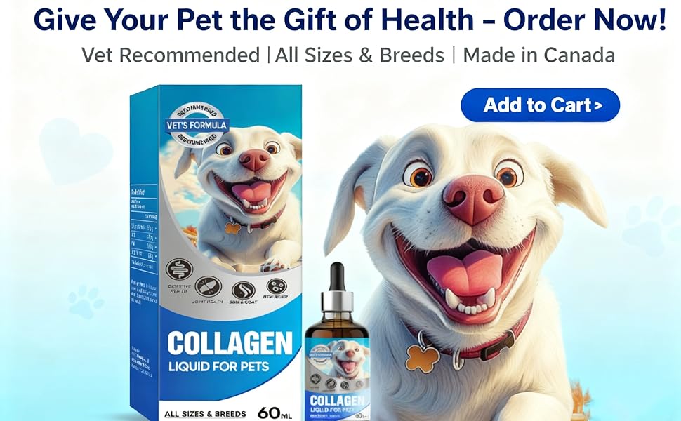 Collagen for Dogs 06