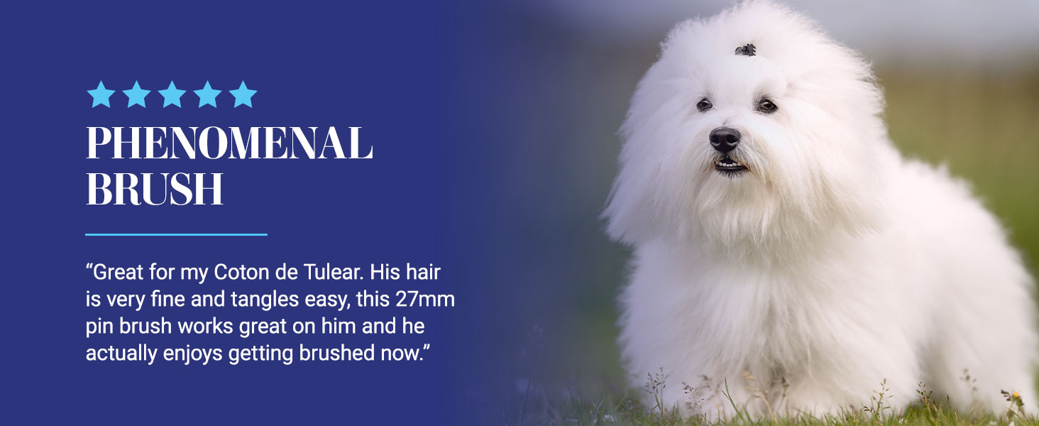 Great for Coton de Tulears. 5 star review of the Chris Christensen Original Oval Pin Dog Brush