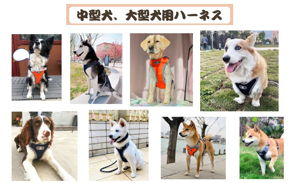 Devan リボンハーネス コーデュロイ 迷彩柄 Ｓサイズ 新品・未使用 迷彩柄ハーネス Devan リボンハーネス コーデュロイ 迷彩柄 S