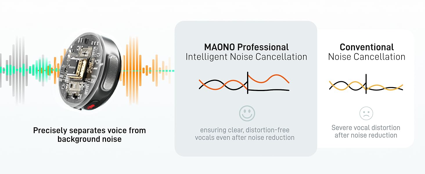 Professional intelligent noise cancellation