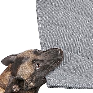 Indestructible HOMBYS Chew Proof Dog Crate Pad Mat, Durable and Water Resistant Teething Puppy Crate Mats for Aggress Df49f01a Db7d 478c B0d2 86ba0e47ae8e. CR0,0,1600,1600 PT0 SX300 V1