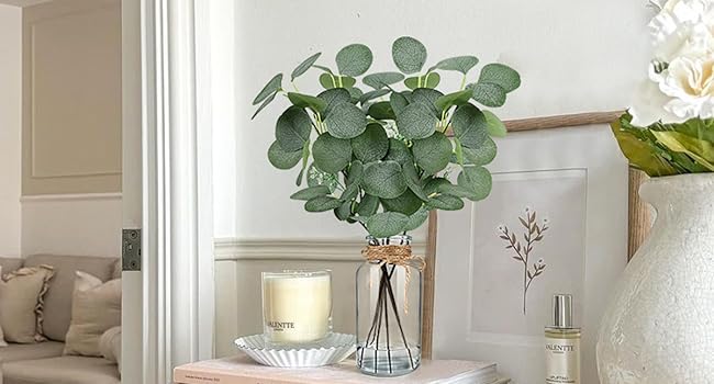 Eucalyptus decor