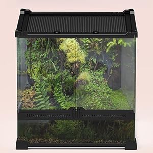 Amazon | 爬虫類飼育ケージ 両開きフロントドア 爬虫類飼育