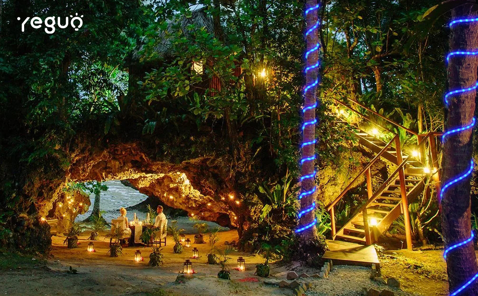 YEGUO Solar Rope Lights Outdoor Waterproof LED, 66ft 200 LED Rope