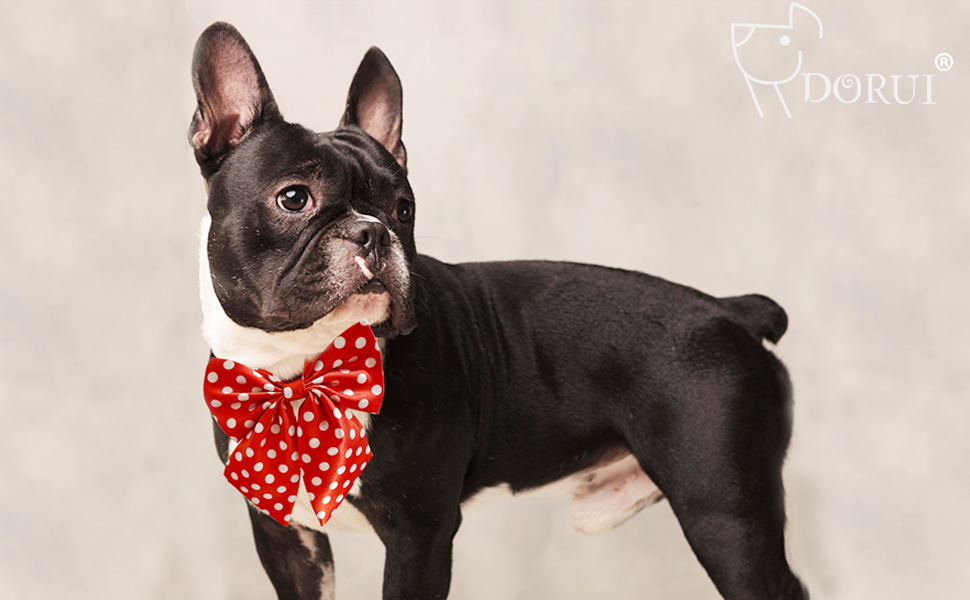 dog collar bowties