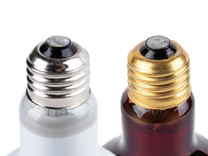 bearded dragon heat lamp bulb