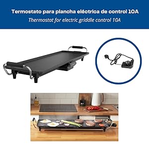 termostato de control 10A