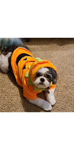 Cat Pumpkin Costume