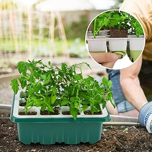 seed starter kit