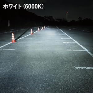 SLMSTH_カラー2