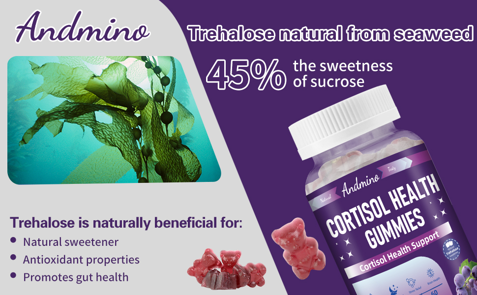 supplement