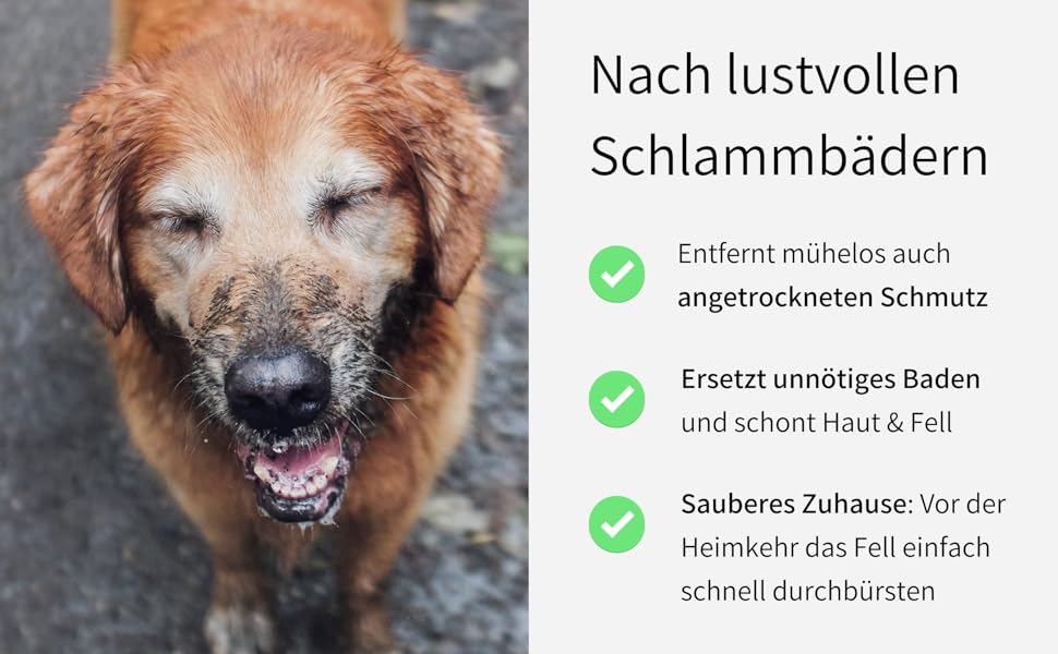 BUDDY BRUNO Hundebürste Kurzhaar mit 100% Naturborsten, Striegel für tägliche Fellpflege