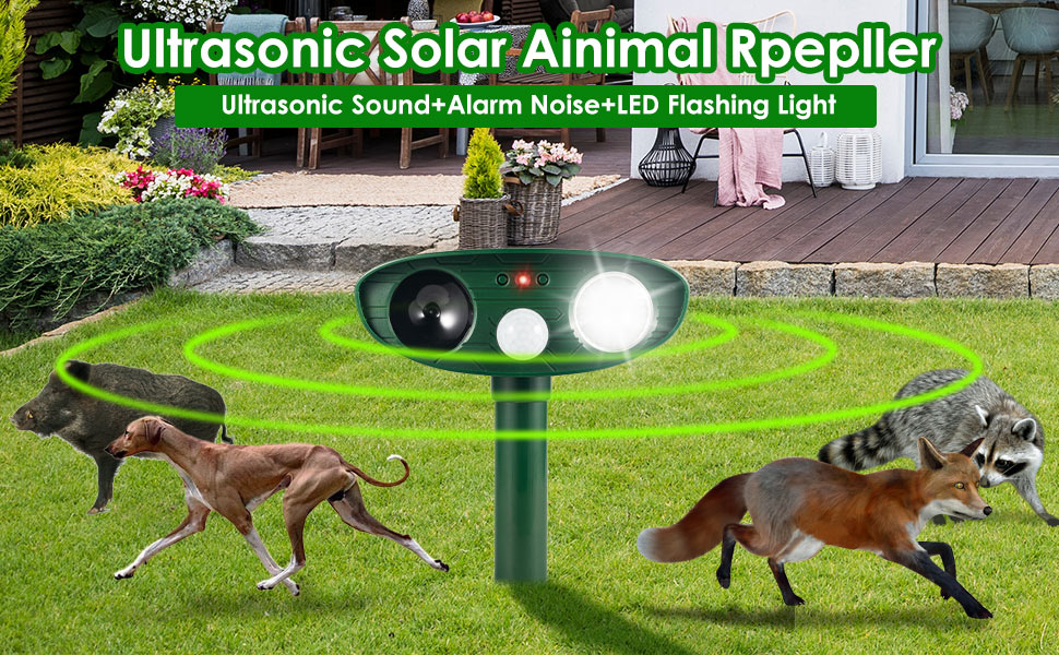 cat repellent outdoor
