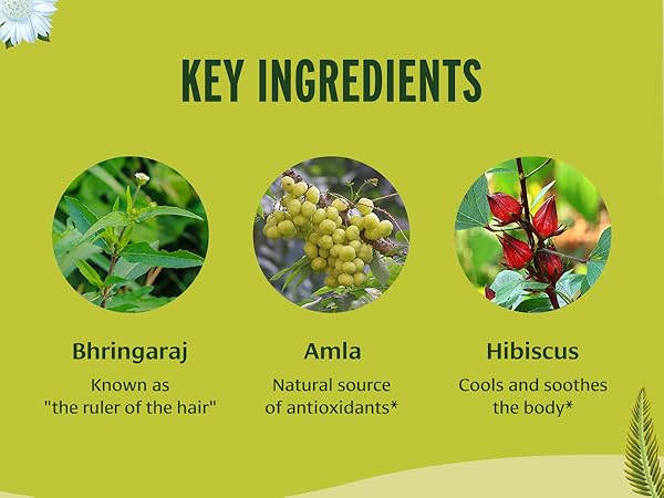 Key ingredients: Bhringaraj, Amla, Hibiscus