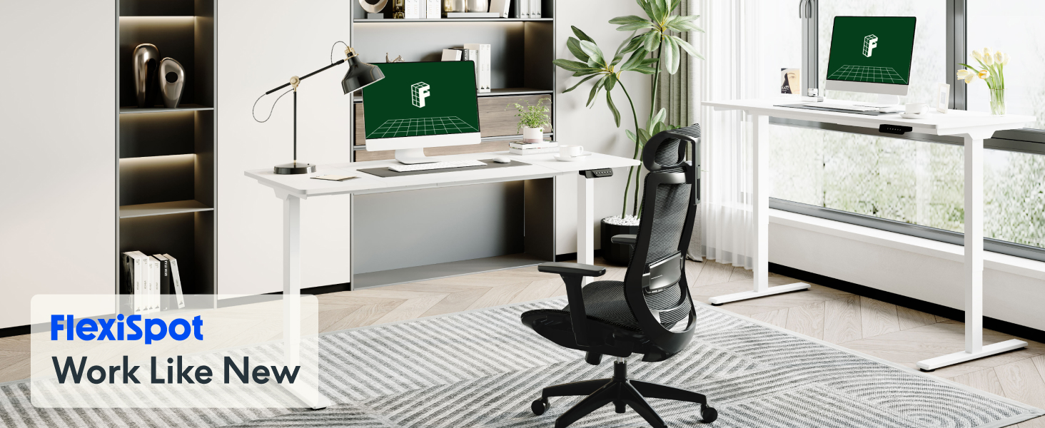 flexispot standing desk