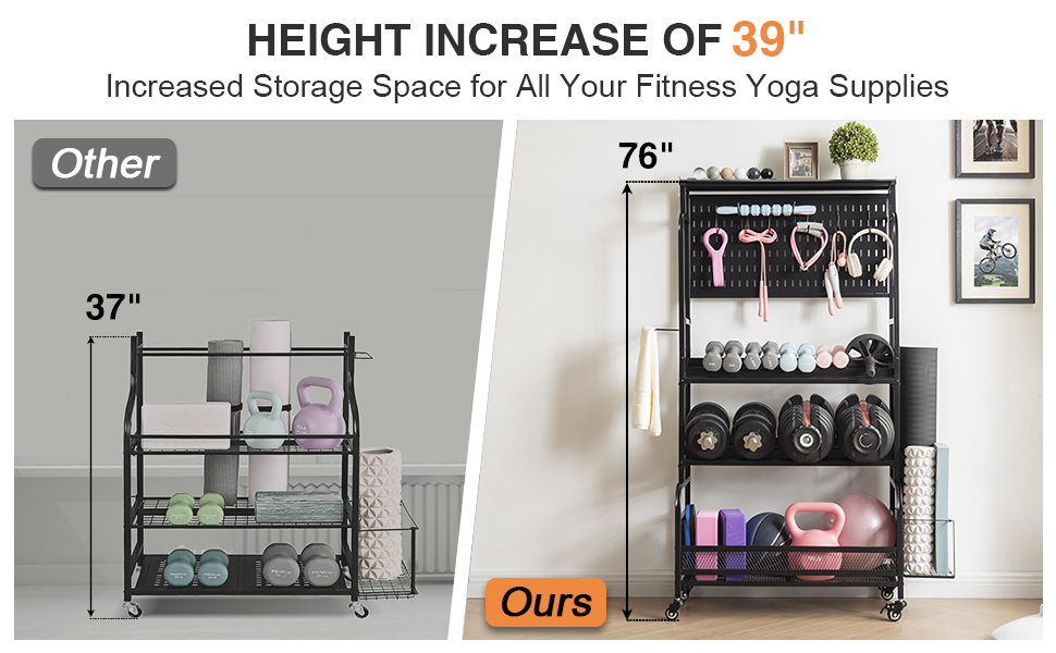 dumbbell rack for home gym