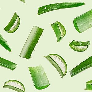 Aloe vera slices