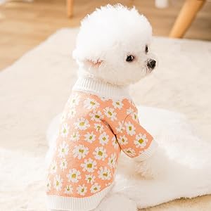 犬の服